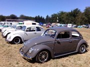 Beetle Show Rioz (21)